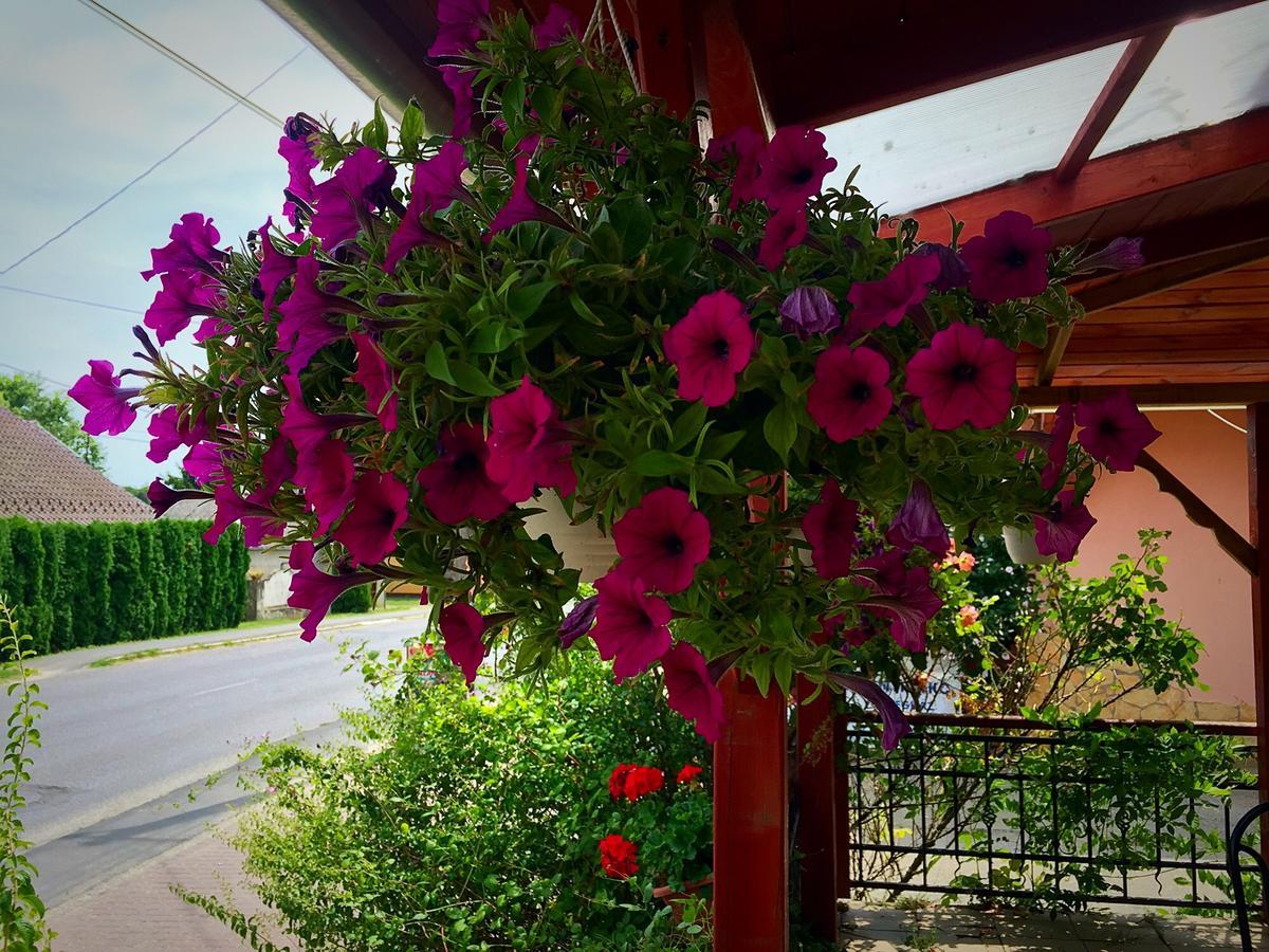 Villa Negra Motel Berzence 外观 照片