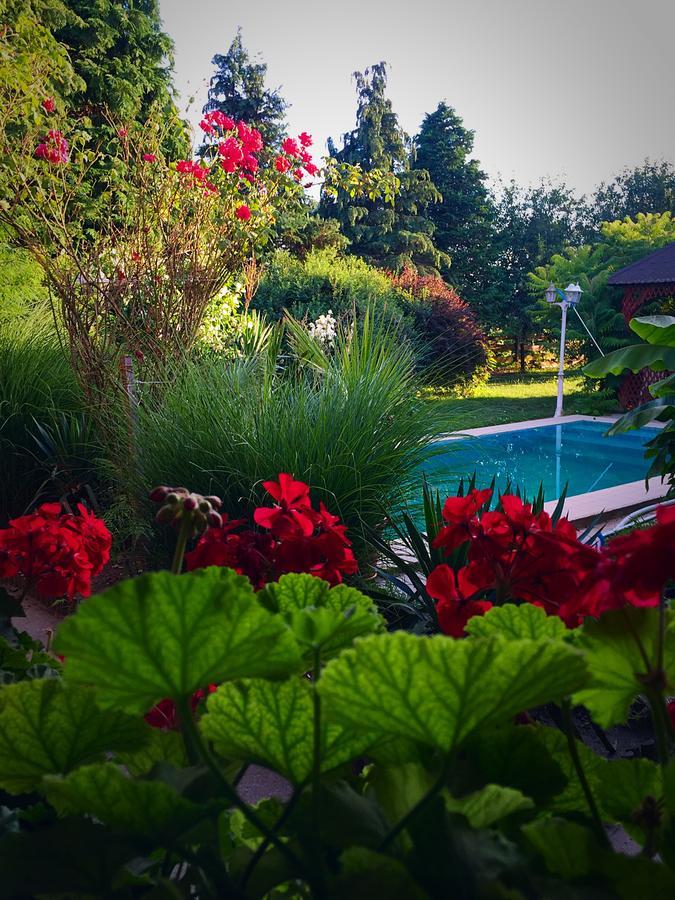 Villa Negra Motel Berzence 外观 照片