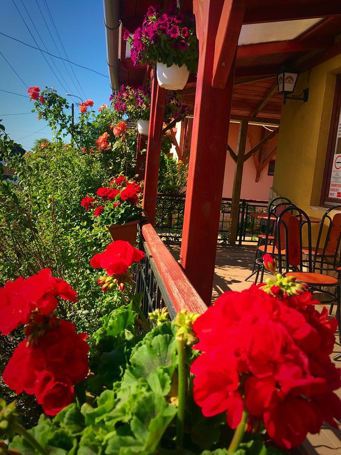 Villa Negra Motel Berzence 外观 照片
