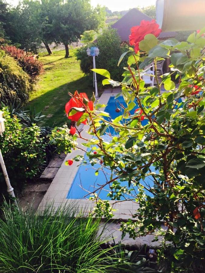 Villa Negra Motel Berzence 外观 照片